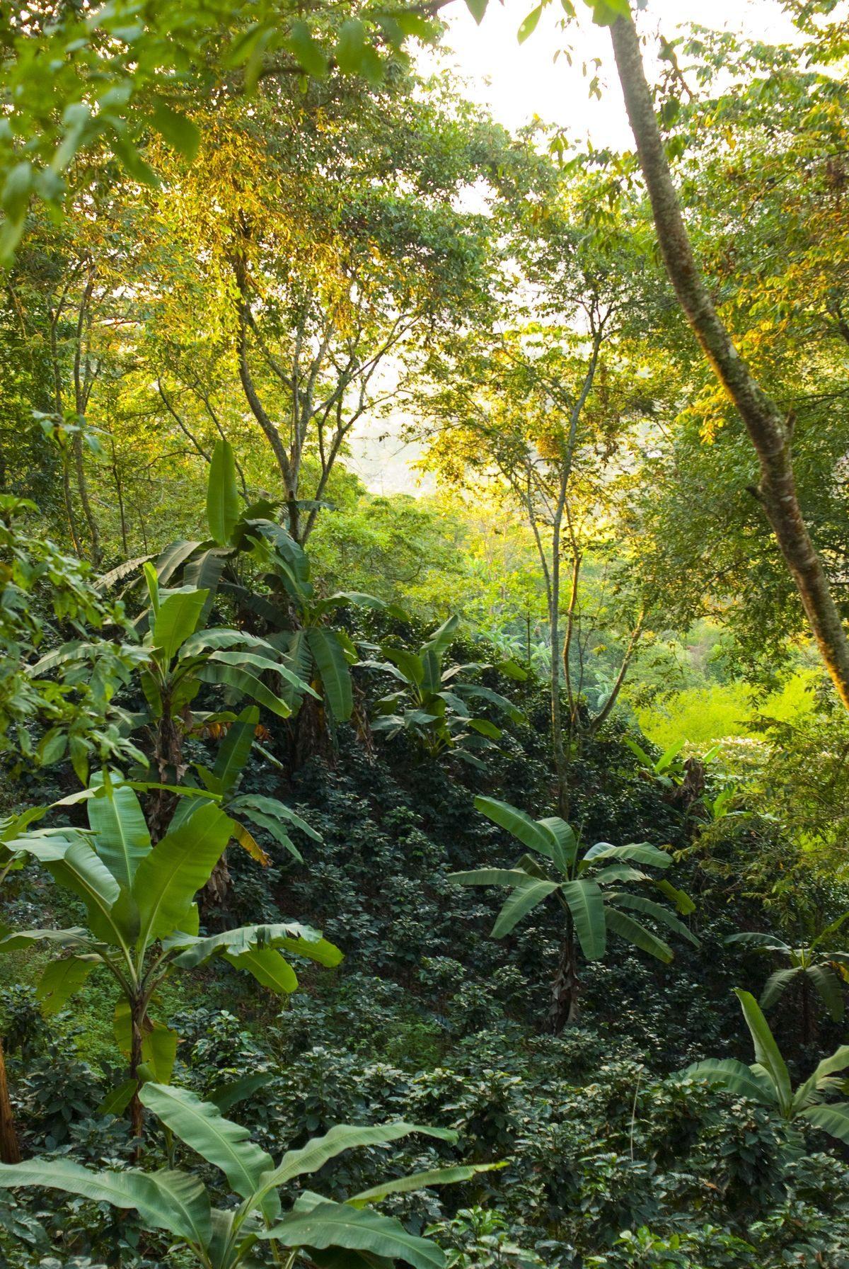 Climate & Resilience