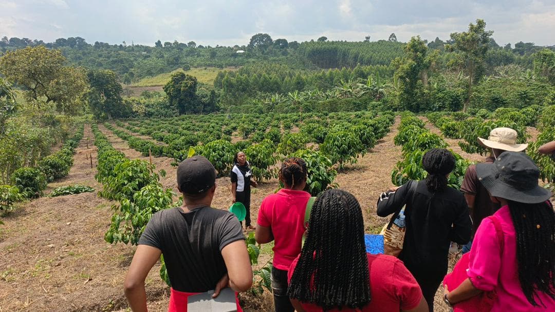 Farmers & Production